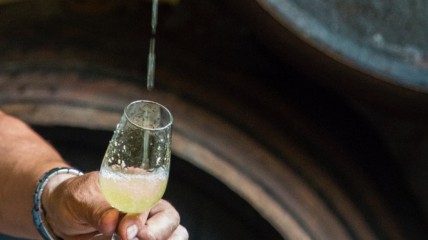 Sherry, de vergeten wijnschat van Spanje