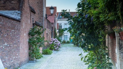 Nacht van de Geschiedenis