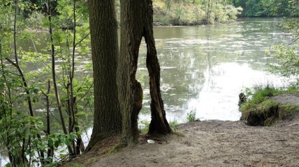 Landschapswandeling Waterkantpad Sint-Katelijne-Waver
